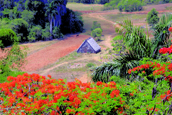 Vinales Valley