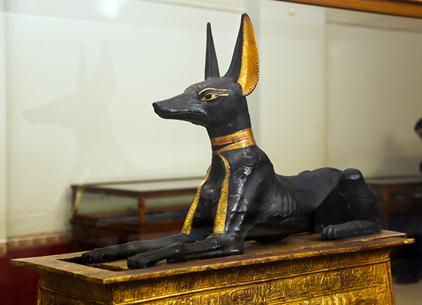 good doggy - Anubis was the lord of death (along with Osiris), mummification, cemeteries and the afterlife