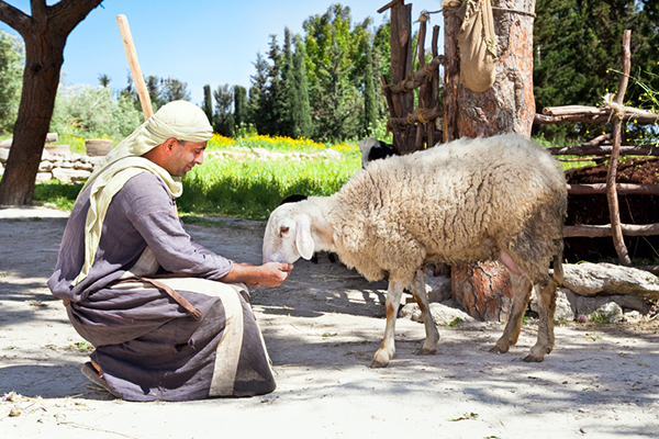 Nazareth Village
