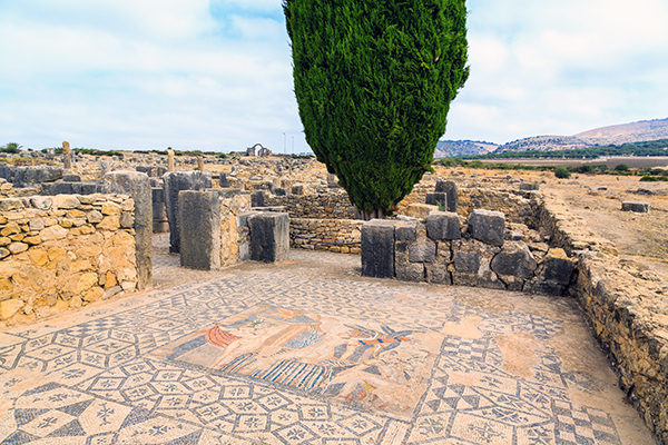 mosaic floor at Volubilis