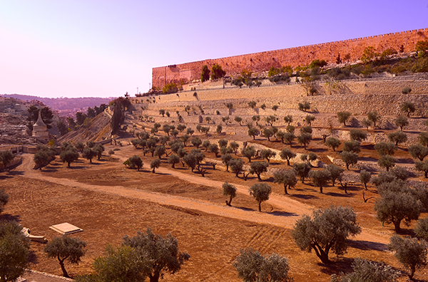 early morning light on the walls of Jerusalem