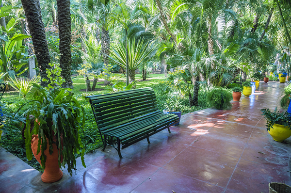 Majorelle Gardens, Marrakech, Morocco
