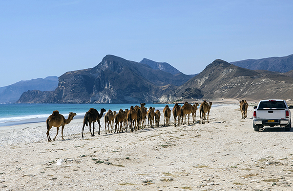 Mughsail Beach in Dhofar