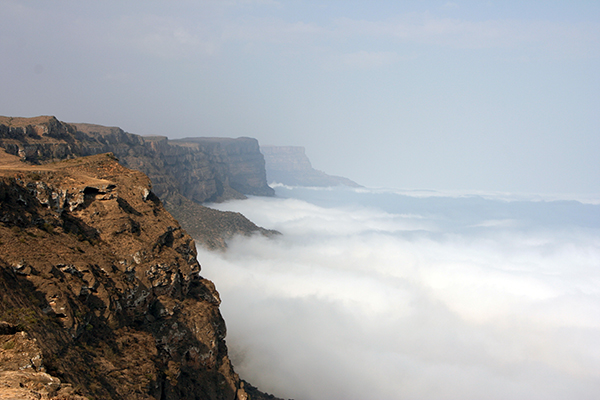 If visiting Oman in the Summer, head south where monsoon mists roll into Dhofar.