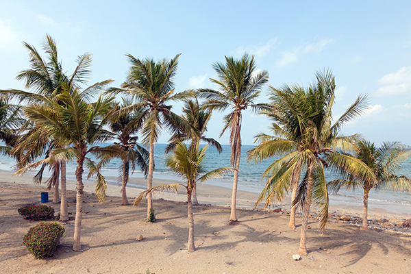 Qurum Beach in Muscat