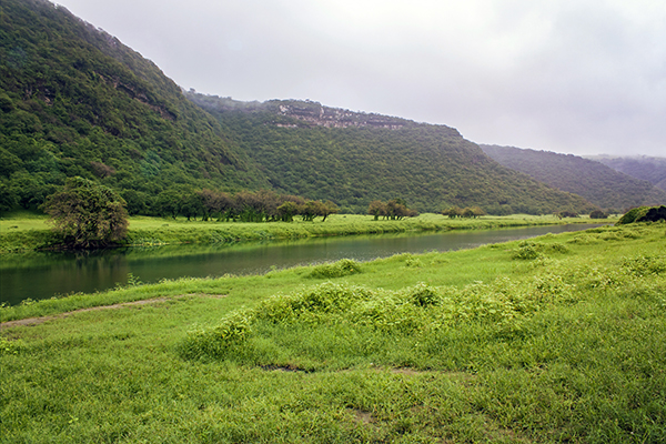 monsoon-lush Wadi Darbat