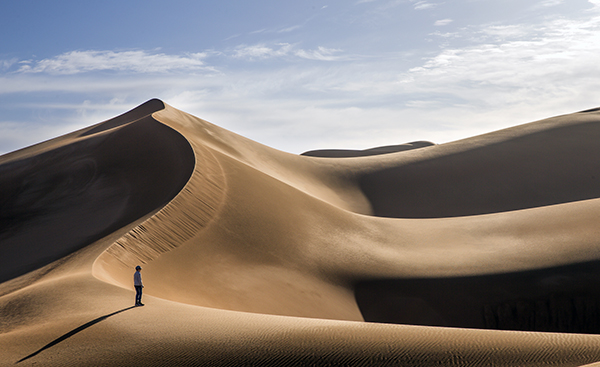 majestic dunes in the Sahara