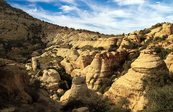 Dana Biosphere Reserve